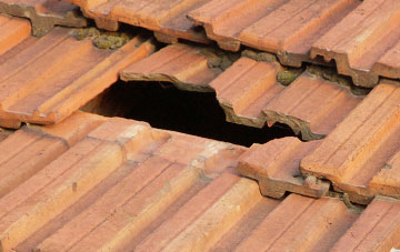 roof repair Rhewl